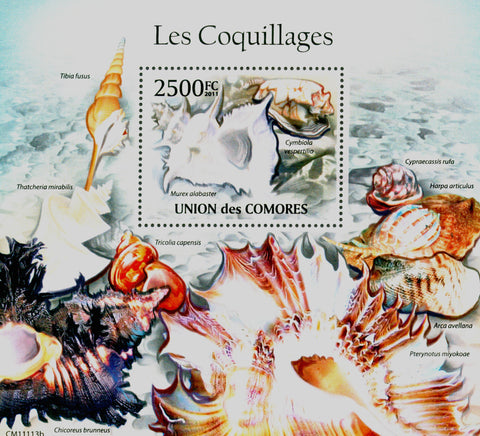 Molluscs Souvenir Sheet Mint NH
