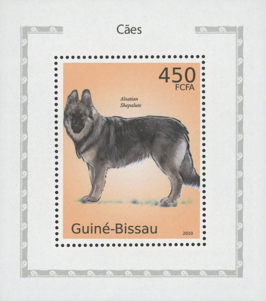 Alsatian shepalute 2024