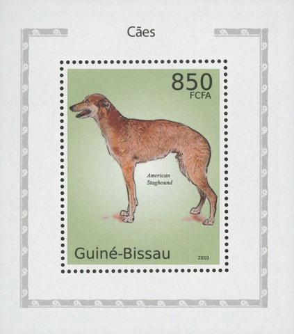 Dog Stamp American Staghound Mini Sov. Sheet Stamp Mint NH