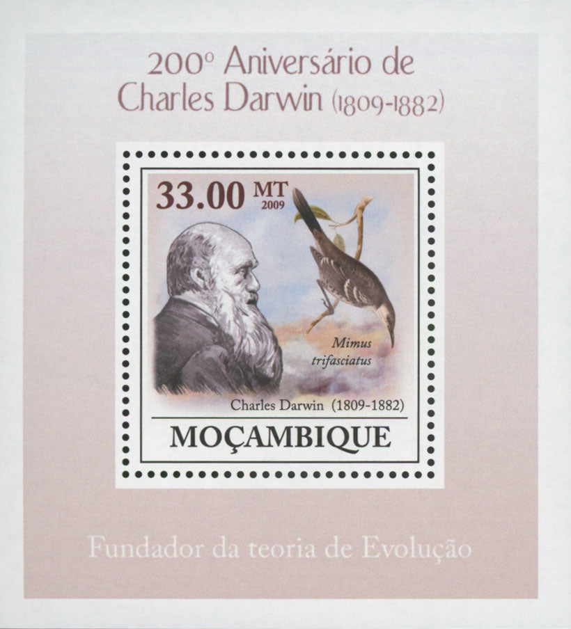 Charles Darwin Anniversary Mimus Trifasciatus Mini Sov. Sheet MNH