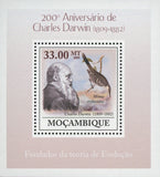 Charles Darwin Anniversary Mimus Trifasciatus Mini Sov. Sheet MNH