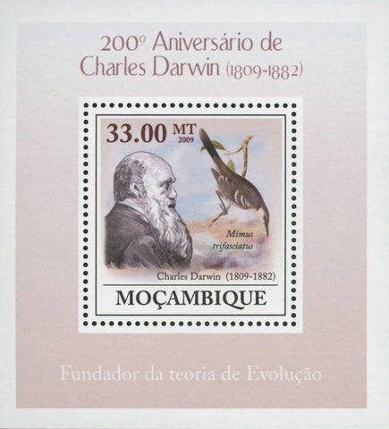 Charles Darwin Anniversary Mimus Trifasciatus Mini Sov. Sheet MNH