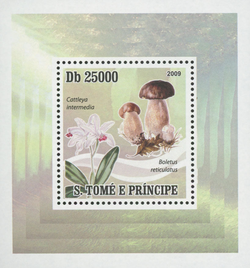 Mushrooms Cattleya Intermedia Mini Sov. Sheet MNH