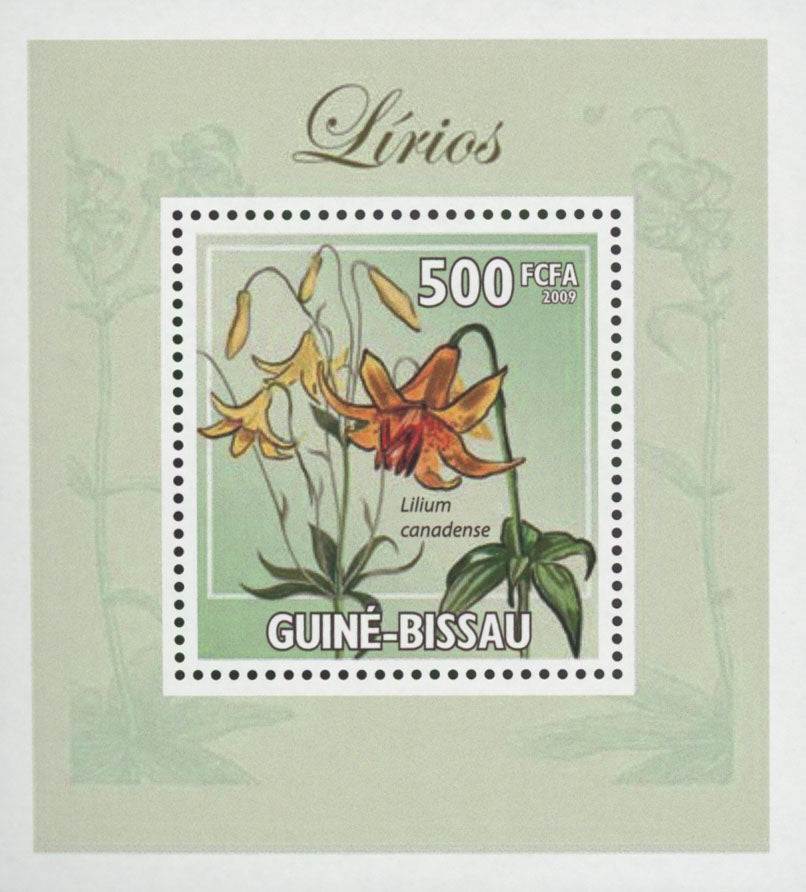Lilies Canadian Flower Plant Mini Sov. Sheet MNH