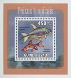 Tropical Fish Rasbora Mini Sov. Sheet MNH