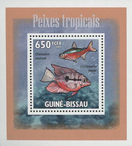 Tropical Fish Cheirodon Mini Sov. Sheet MNH