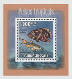 Tropical Fish Astronotus Ocellatus Mini Sov. Sheet MNH