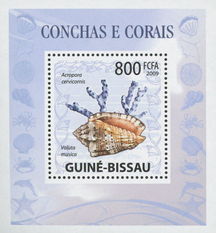 Shells and Corals Voluta Musica Miniature Sov. Sheet MNH