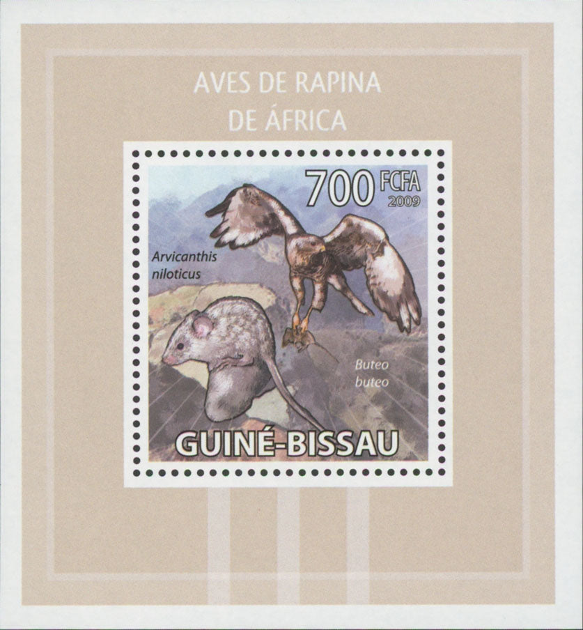 African Birds of Prey Stamp Buteo Buteo Mini Sov. Sheet MNH