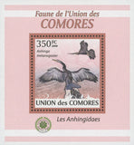 Bird Stamp Darter Snakebirds Anhinga Melanogaster Mini Souvenir Sheet MNH
