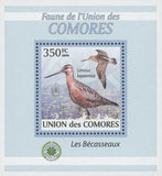 Sandpiper Bird Stamp Limosa Lapponica Mini Sov. Sheet MNH