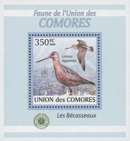 Sandpiper Bird Stamp Limosa Lapponica Mini Sov. Sheet MNH