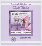 Flamingoes Stamp Bird Phoenicoreptus Roseus Mini Sov. Sheet MNH
