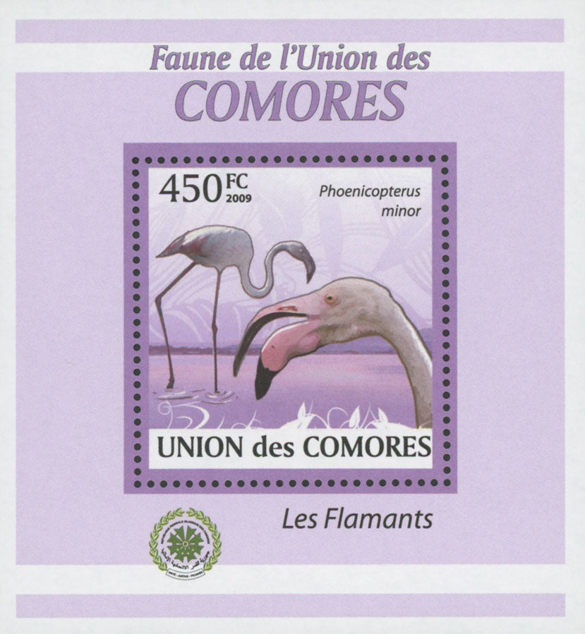 Flamingoes Stamp Bird Phoenicoreptus Minor Mini Sov. Sheet MNH