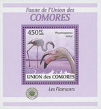 Flamingoes Stamp Bird Phoenicoreptus Minor Mini Sov. Sheet MNH