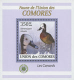 Ducks Stamp Dendrocygna Viduata Birds Mini Sov. Sheet MNH