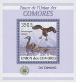 Ducks Stamp Bird Dendrocygna Viduata Lake Fly Mini Sov. Sheet MNH