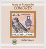 Parrot Bird Stamp Coracopsis Nigra Birds Tree Mini Sov. Sheet MNH