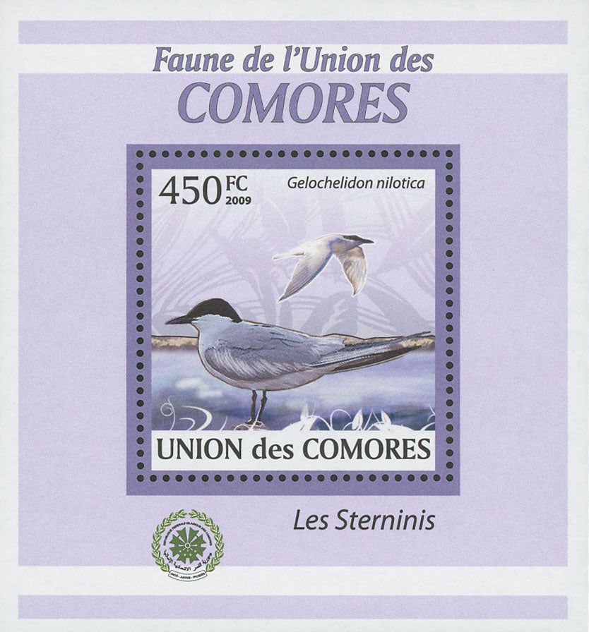Terns Stamp Gelochelidon Nilotica Birds Mini Sov. Sheet MNH