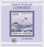 Terns Stamp Gelochelidon Nilotica Birds Mini Sov. Sheet MNH