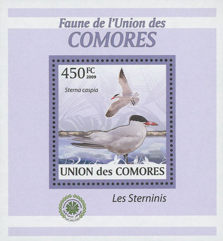 Terns Stamp Sterna Caspia Birds Mini Sov. Sheet MNH