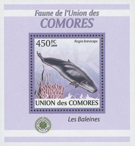 Whale Stamp Marine Life Kogia Breviceps Mini Sov. Sheet MNH