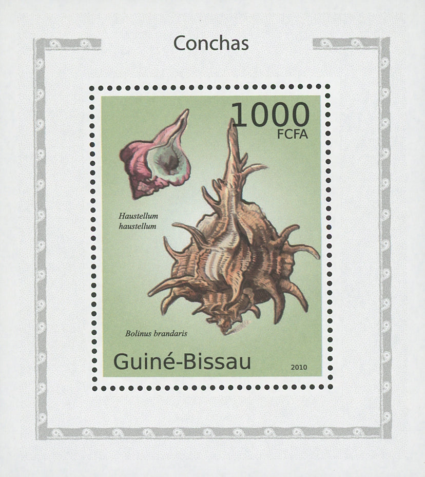 Seashells Bolinus Brandaris Mini Sov. Sheet MNH
