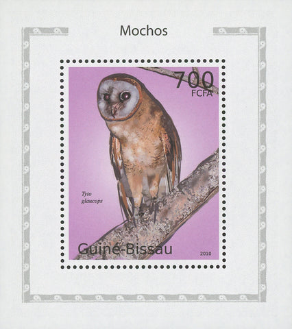 Owls Tyto Galucops Birds Mini Sov. Sheet MNH