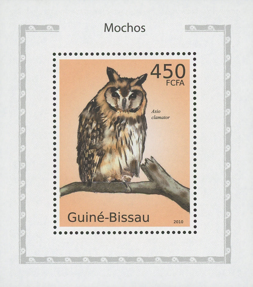 Owls Asio Clamator Birds Mini Sov. Sheet MNH