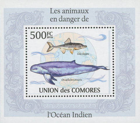 Indian Ocean Endangered Animals Gila Elegans Mini Sov. Sheet MNH