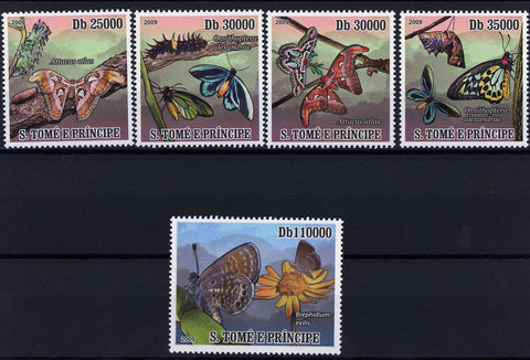 Butterfly Insect Caterpillar Branch Serie Set of 5 Stamps MNH