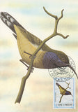 First Day Cover Postcard Bird Selele Anabathmis Hartlaubii 1983