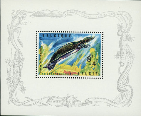 Belgique Turtle Stamp Marine Fauna Trionix Triunguis Mint NH