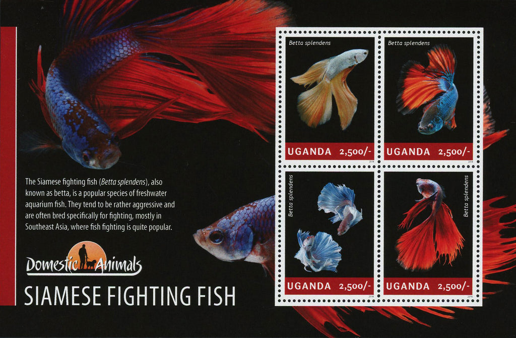 Fish Stamp Siamese Fighting Fish Marine Fauna Souvenir Sheet of 4 Mint NH
