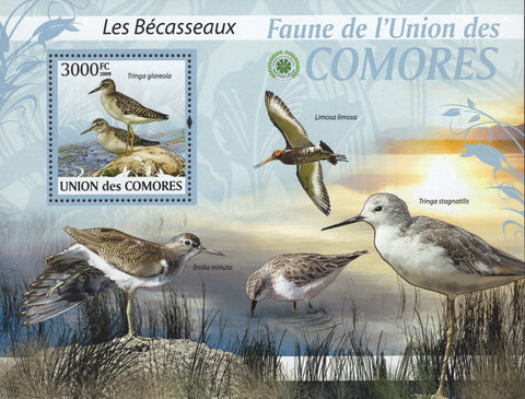 Birds Stamp Sandpiper Tringa Black-tailed Godwit Souv. Sheet MNH