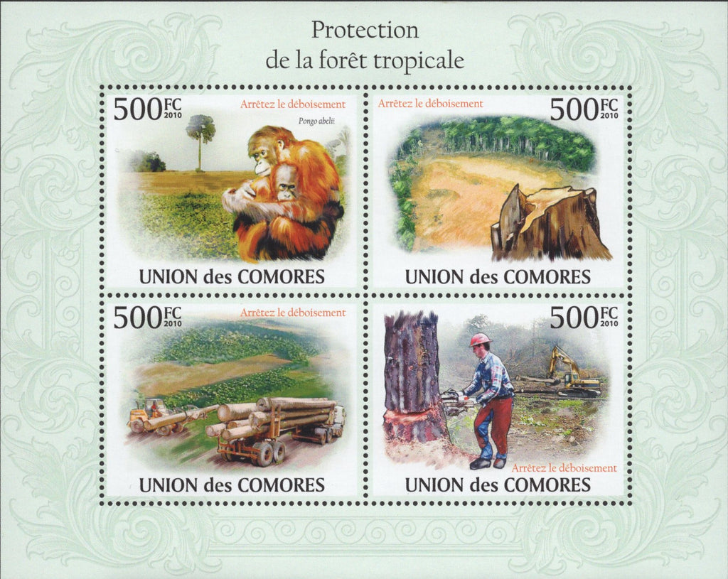 Protection of Tropical Forest monkey trees mountain people Excavators So