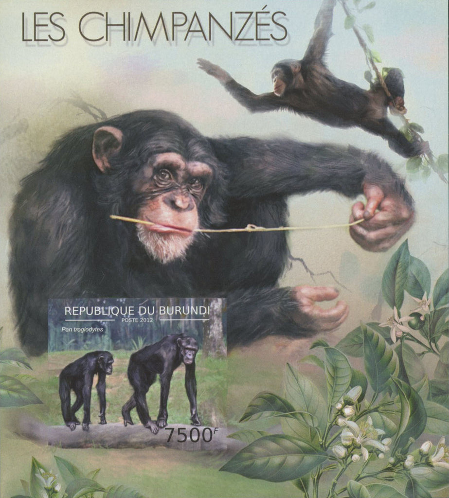 Chimpanzees Monkeys Imperforated Souvenir Sheet Mint NH