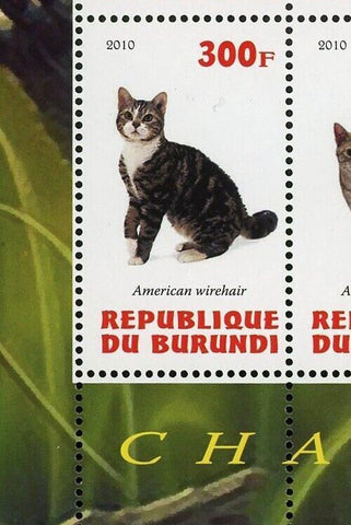 Cat Domestic Animal Abyssin American shorthair Souvenir Sheet of 4 Stamps MNH