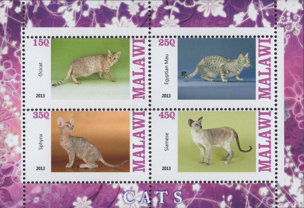 Malawi Cats Animals Souvenir Sheet   of 4 M NH