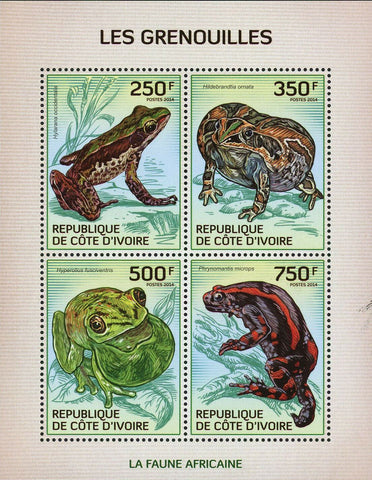 Frog Stamp Hylarana Occidentalis Hildebrandtia Ornata Hyperolius S/S MNH