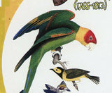 Alexander Wilson Stamp Birds Athene Noctua Owl Onychognathus Morio S/S MNH