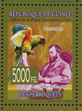 Parrots Stamp Bird John James Audubon Alexander Wilson Ara Macao Ara Rubrogenys