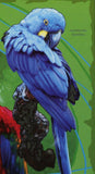 Parrots Stamp Bird John James Audubon Ara Severa Ara Rubrogenys  S/S MNH