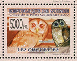 Owls Stamp Bird Tyto Alba Strix Woodfordi Strix Aluco S/S MNH #6424-6429