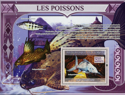 Fish Stamp Brachy Synodontis Batensoda Hemitaeniochromis Urotaenia S/S MNH