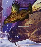 Fish Stamp Brachy Synodontis Batensoda Hemitaeniochromis Urotaenia S/S MNH