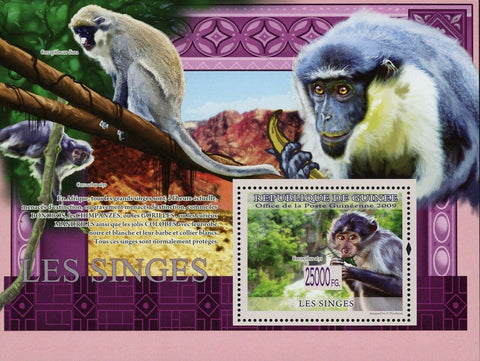 Monkeys Stamp Cercocebus Atys Cercopithecus Diana Wild Animal S/S MNH #6487