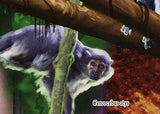 Monkeys Stamp Cercocebus Atys Cercopithecus Diana Wild Animal S/S MNH #6487