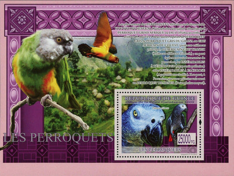 Parrots Stamp Bird Psittacus Erithacus Poicephalus Senegalus S/S MNH #6438