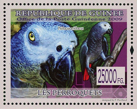 Parrots Stamp Bird Psittacus Erithacus Poicephalus Senegalus S/S MNH #6438